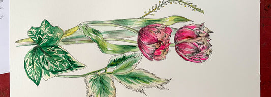 Pen and Watercolour Workshop at Creative Gallery Melbourne