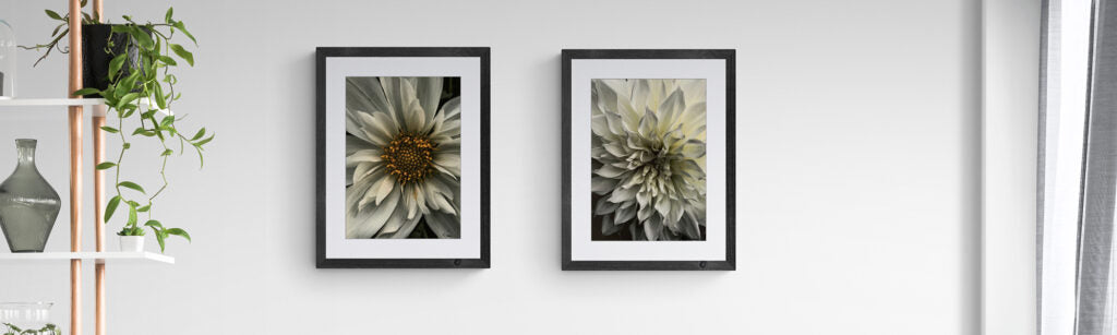 Biophilia in Interior Design