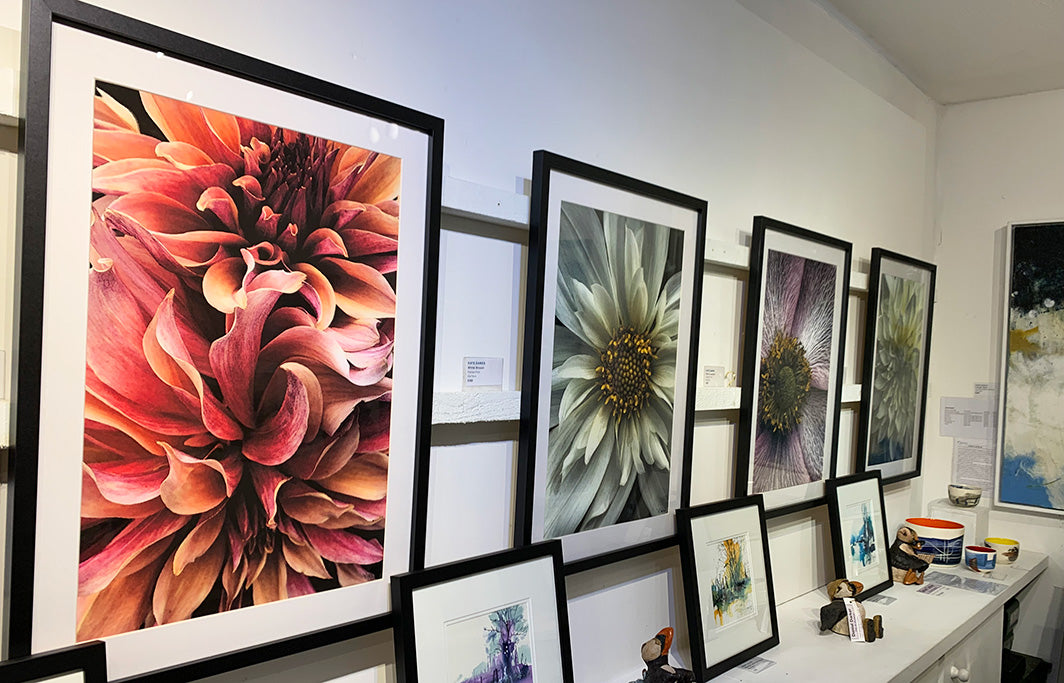 Kate Dawes at the Courtney Gallery, Ashbourne