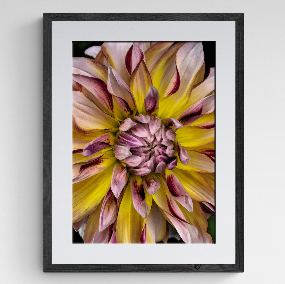 Bursting Bloom