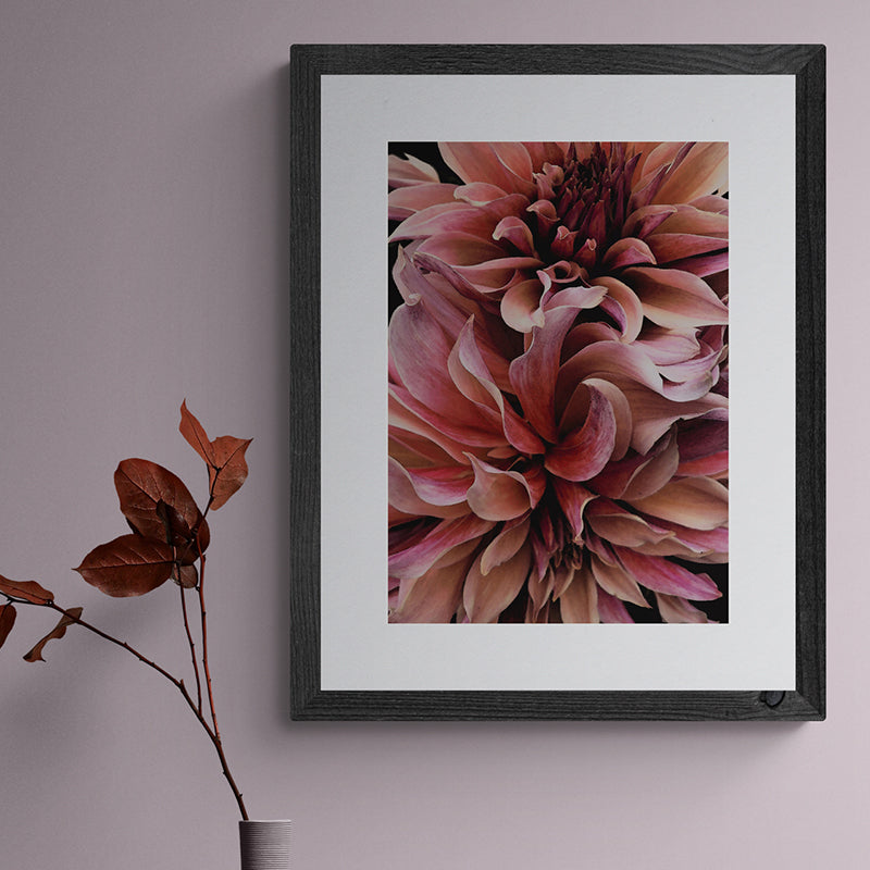 Dahlia Waves