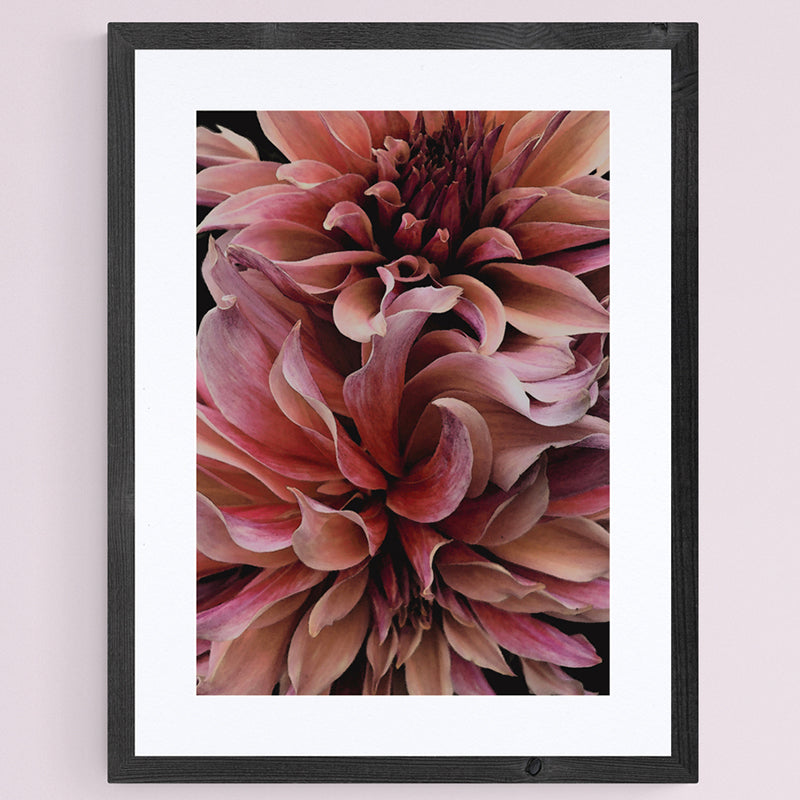 Dahlia Waves