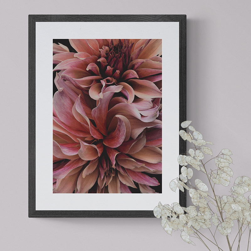 Dahlia Waves