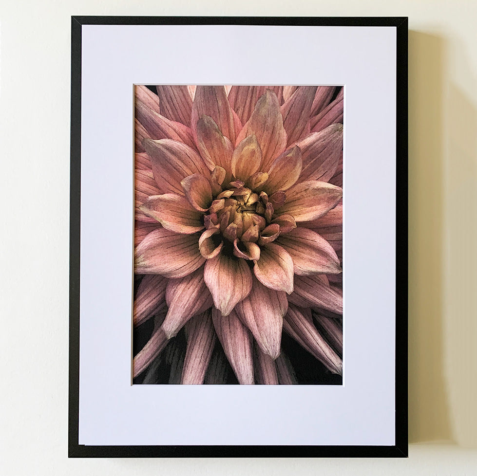 Soft Pink Burst