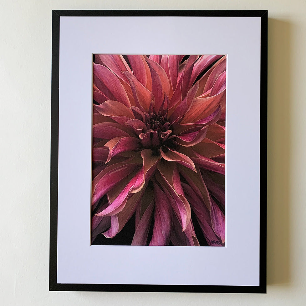 Dahlia Waves II