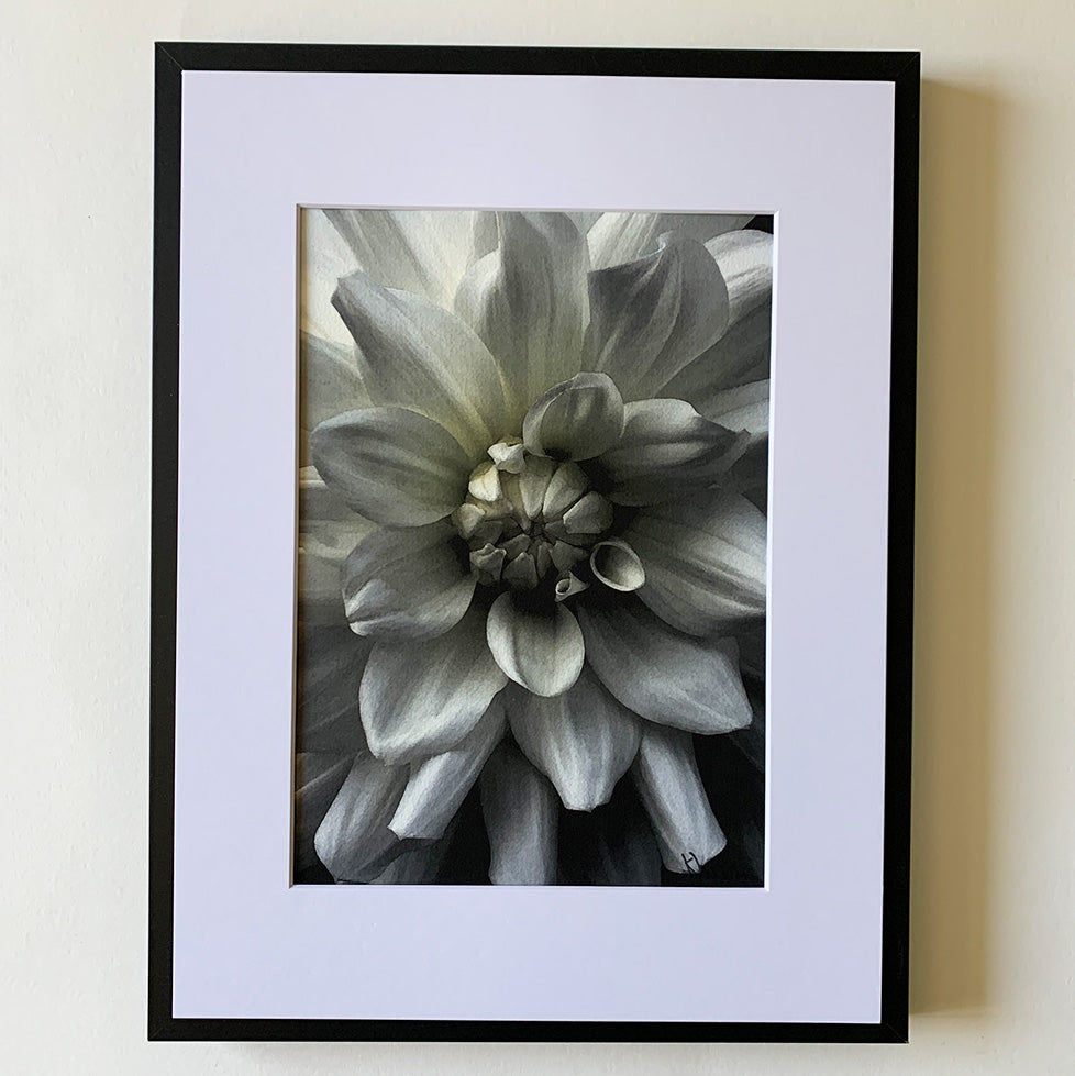 White Burst III
